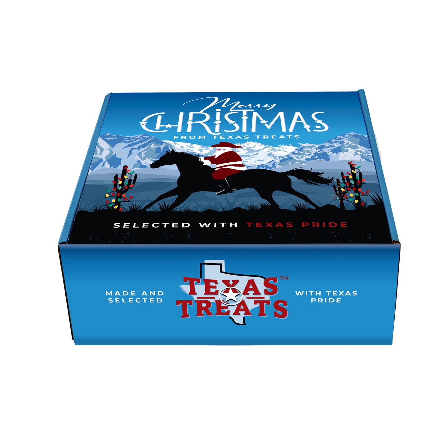 Merry Christmas Gift Box