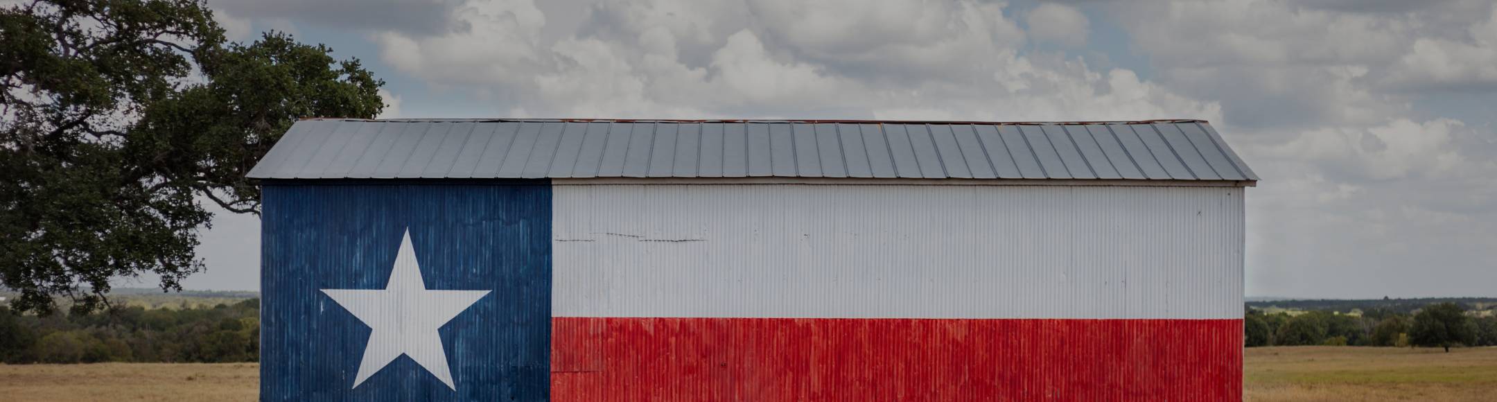 A barn in the middle of a field with the Texas flag painted on the side.