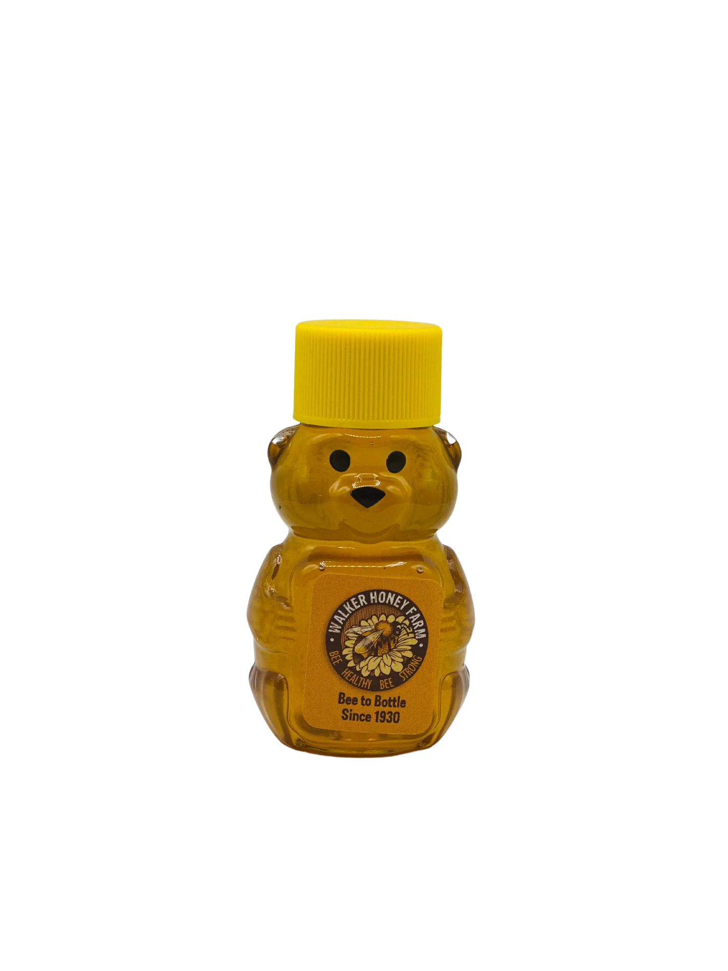 Jar of honey shaped like a bear – include in a custom gift box today.