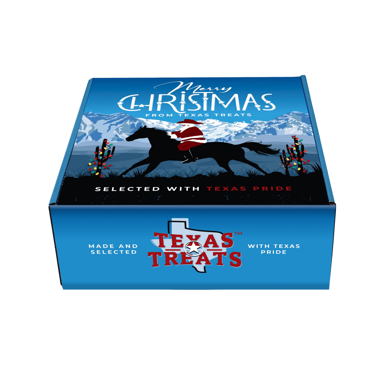 Merry Christmas Box - Texas Treats