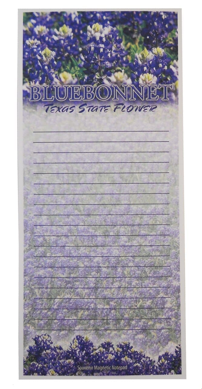 Bluebonnet Memo Note Pad