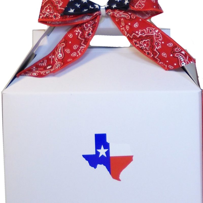 White Gable Boxes with Bows Set of 3